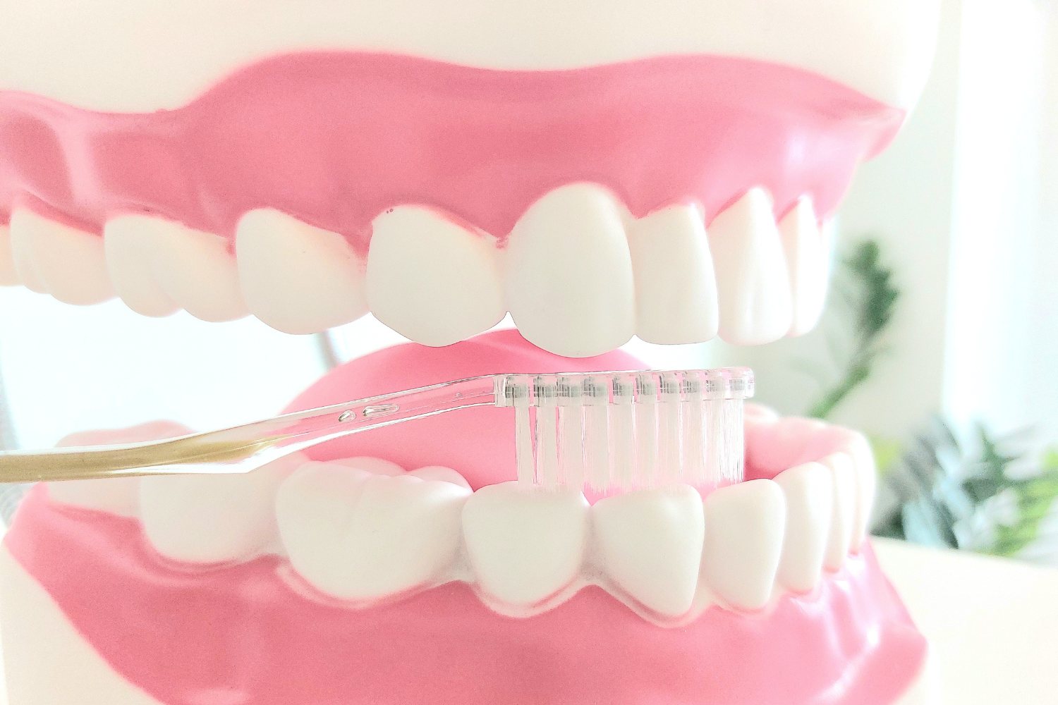 musicdent - dentalnahigijena